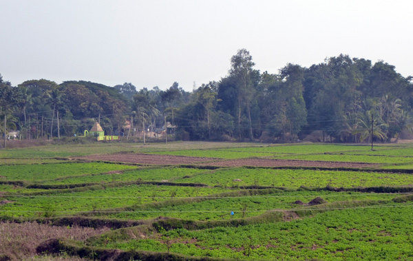 P1030435